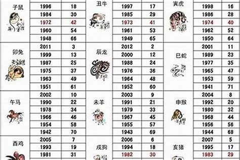 78年出生 生肖|1978年1月出生属什么生肖